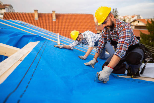 Best Roof Insulation Installation  in San Castle, FL